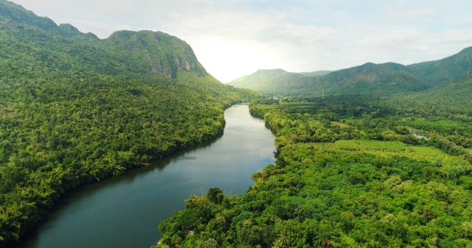 Fluss, der durch einen Wald fließt